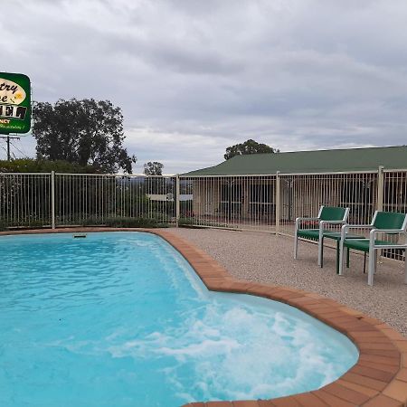 Country Rose Motel Warwick Dış mekan fotoğraf